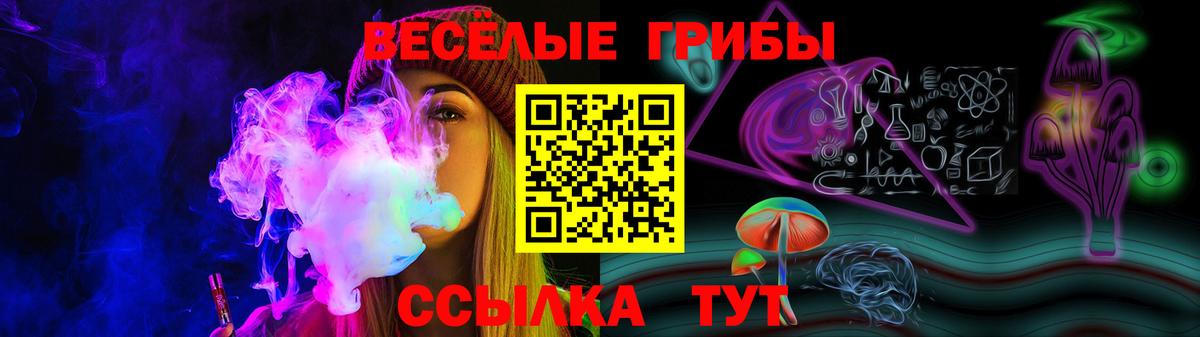 Галлюциногенные грибы GOLDEN TEACHER  Вход с VPN  Черногорск  наркотики  Галлюциногенные грибы мицелий 